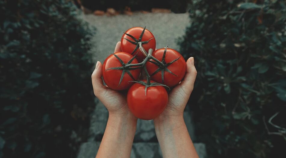 Cà chua giảm nguy cơ ung thư tuyến tiền liệt